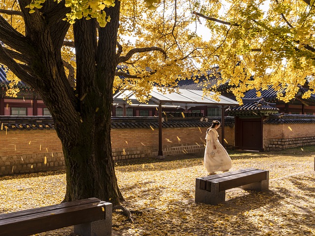 Discovering Spaces Where History and Modernity Coexist in Seoul