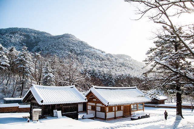 Tips That Help Foreigners Adjust Easily to Life in Korea