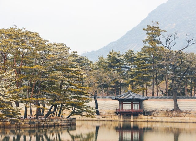 Discover the Charm of Korean Convenience Store Culture and Popular Products