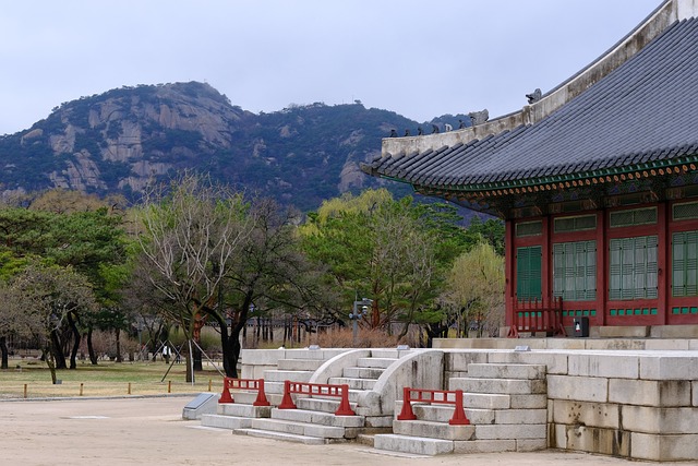 Start a Cultural Journey with Recommended Museums and Art Galleries in Korea
