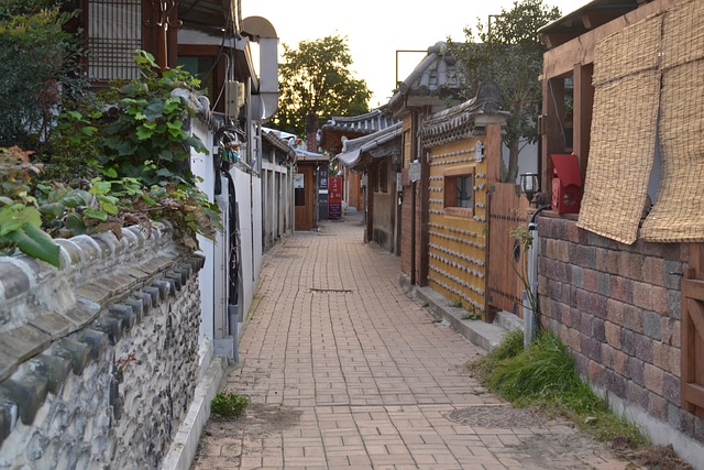 Understanding Korea’s Waste Separation Rules and Reasons A Must-Know Environmental Habit