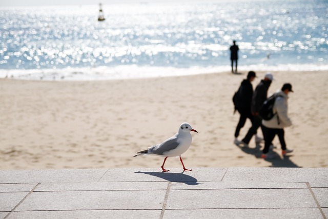 Why Trends Spread Faster Among Korean Teens Than Ever Before